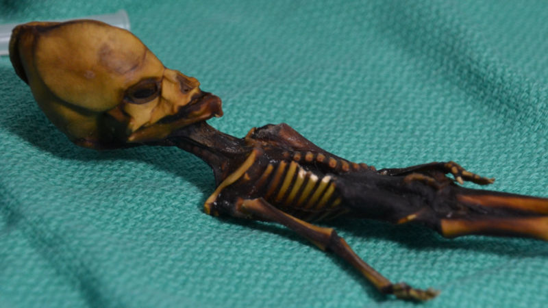 Illustration for article titled Facebook's Hell, 'Alien' Mummy, and Folding iPhones: The Best Gizmodo Stories of the Week